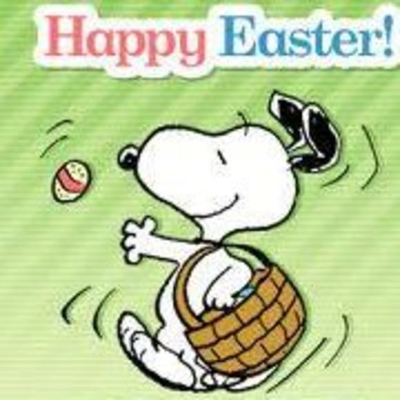 Meet your Posher, Laurie - Picture 1 of 1